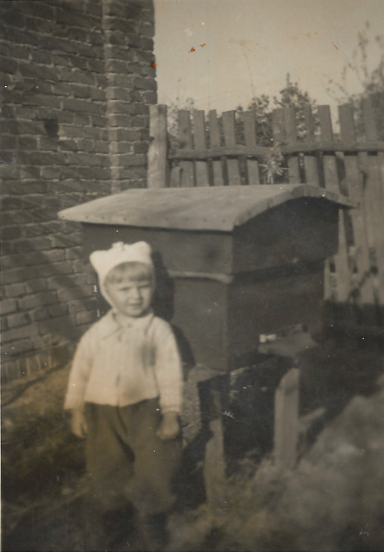 Tata pszczelarz przy ulach